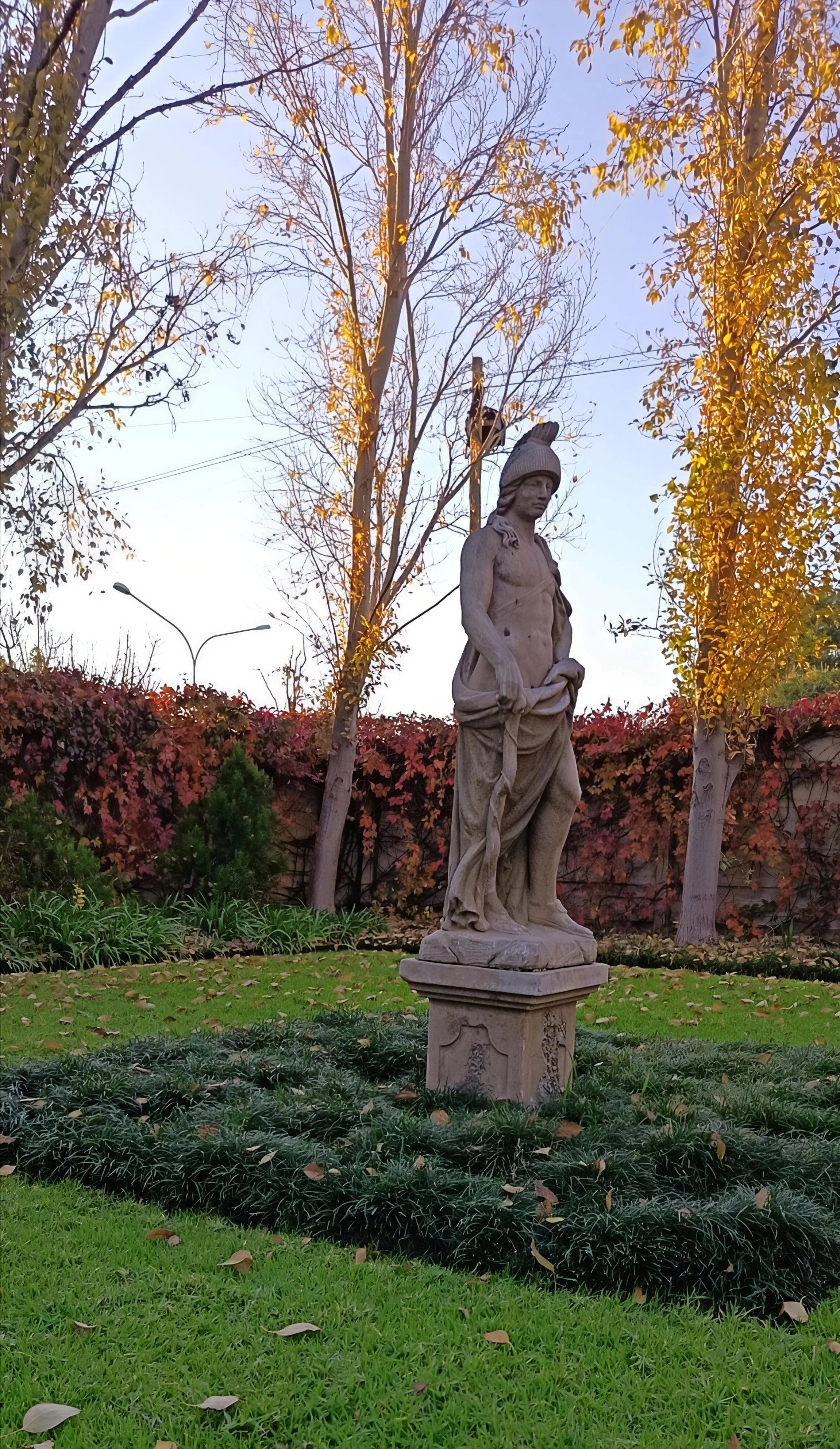 Garden11