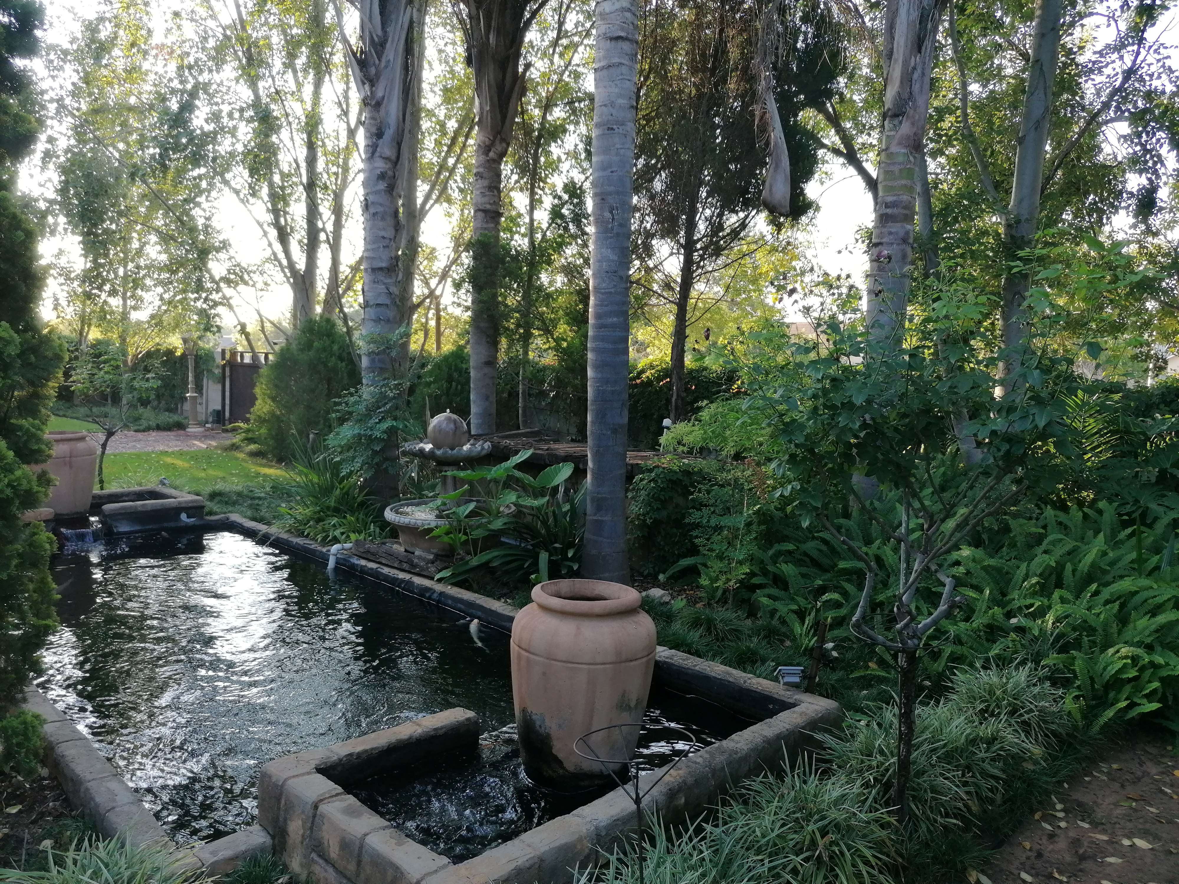 Garden5